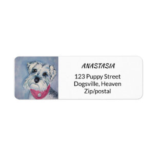 SILVER GRAY SCHNAUZER