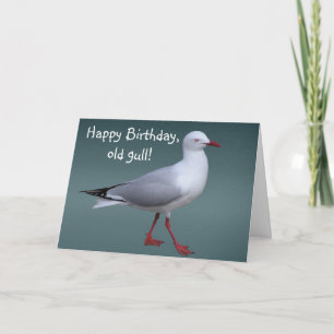 Silver Gull Card Karte
