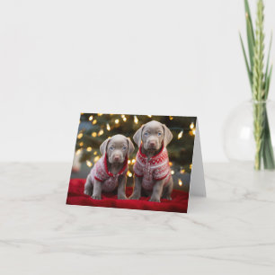 Silver Labrador Puppies Weihnachtskarte Karte