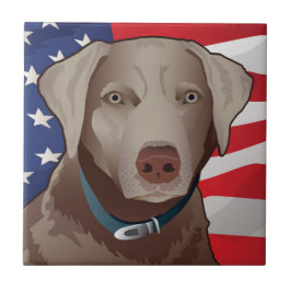 Silver Labrador Retriever of America Fliese