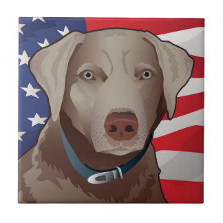 Silver Labrador Retriever of America Fliese