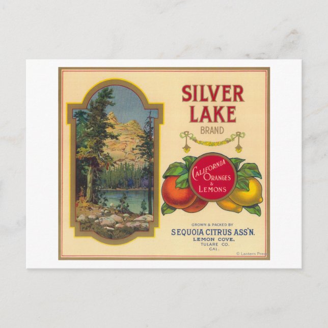 Silver Lake Orange LabelLemon Cove, CA Postkarte (Vorderseite)