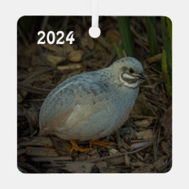 Silver Male Button Quail im Gras Ornament Aus Metall