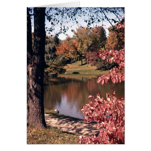 Silver Park im Herbst (Vorne)