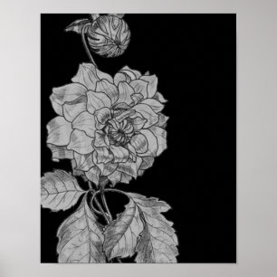 Silver Peony Blume über Black Floral Art Poster