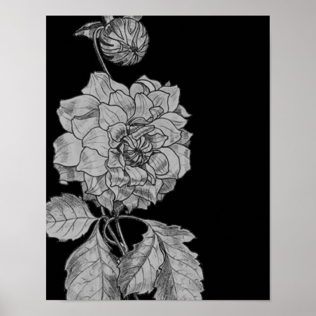 Silver Peony Blume über Schwarze Flora Kunst Poster (Vorne)
