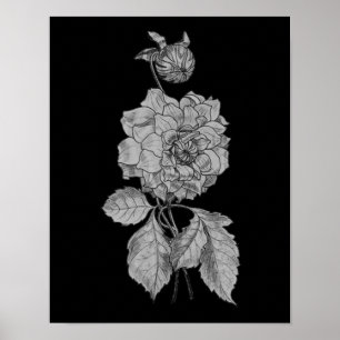 Silver Peony on Black Floral Art Poster