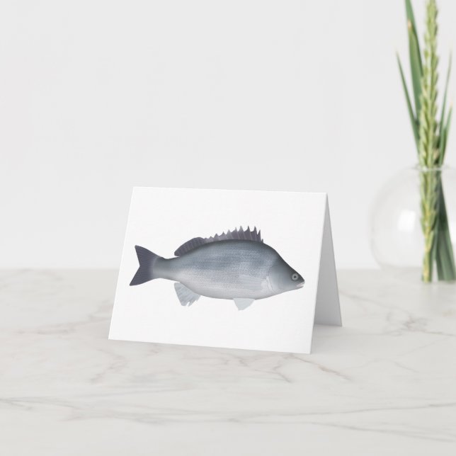 Silver Perch (Vorderseite)