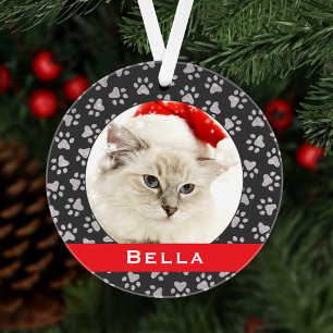 Silver Pet Paw Prints Red Custom Cat Name Foto Ornament