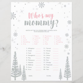 Silver & Pink Winter Wonderland Baby Showspiel