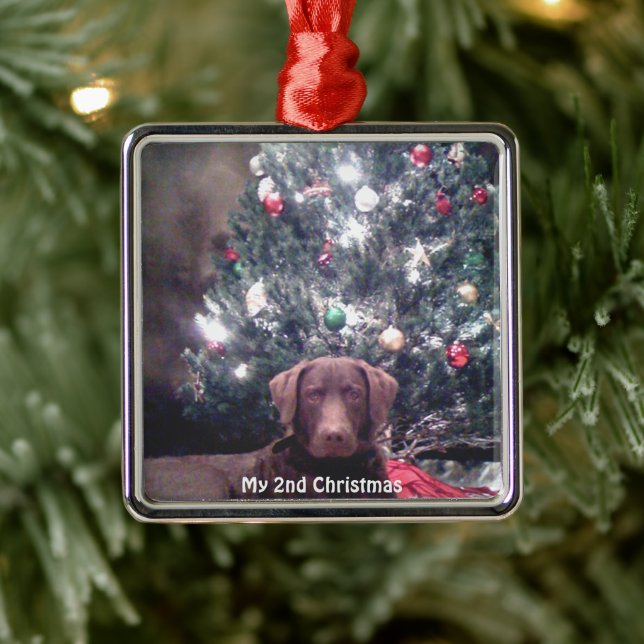 Silver Puppy mein 2. Weihnachtsgeschenk Foto Ornam Ornament Aus Metall (Baum)