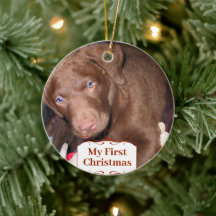 Silver Puppy mein erstes Weihnachts-Foto Ornamente