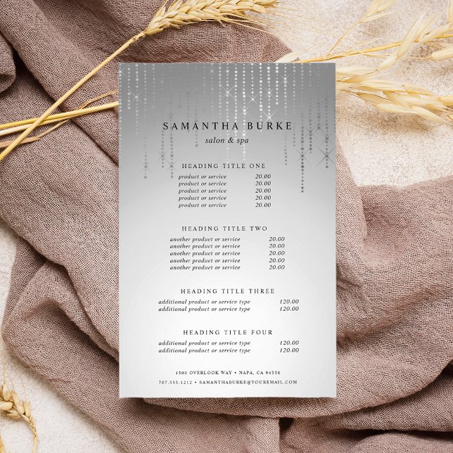 Silver Rain Pricing & Services Flyer (Von Creator hochgeladen)