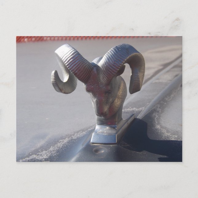 Silver Ram Postkarte (Vorderseite)