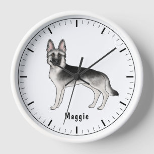 Silver Sable German Shepherd Hund mit benutzerdefi Uhr