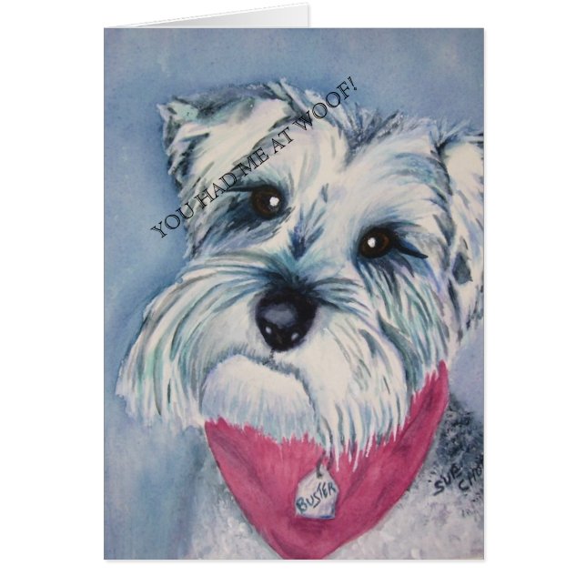 SILVER SCHNAUZER (Vorne)