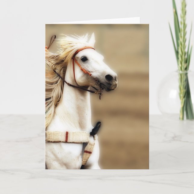 Silver Shadow Blank Inside Greeting Card Karte (Vorderseite)