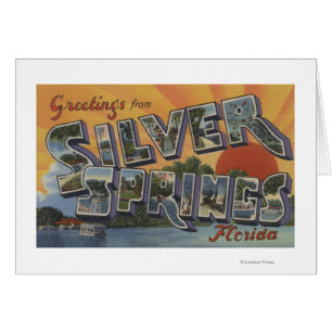 Silver Springs, Florida - große Buchstabe-Szenen 2