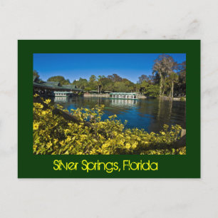 Silver Springs Nature Theme Park, Florida, USA. Postkarte