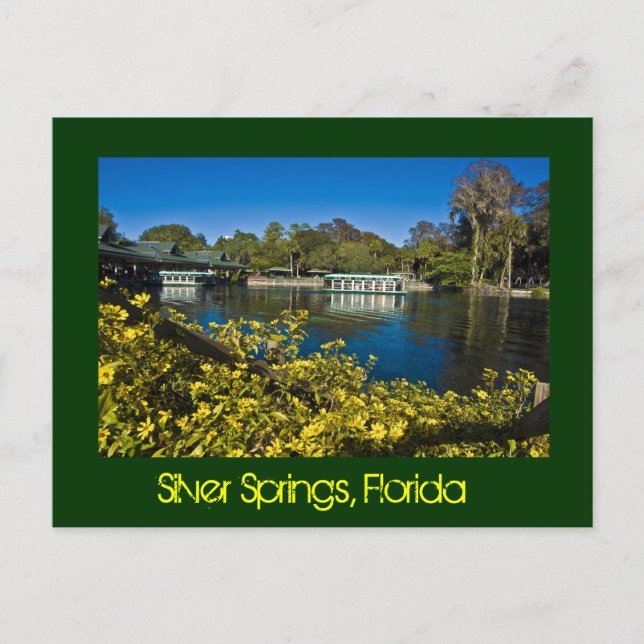 Silver Springs Nature Theme Park, Florida, USA. Postkarte (Vorderseite)