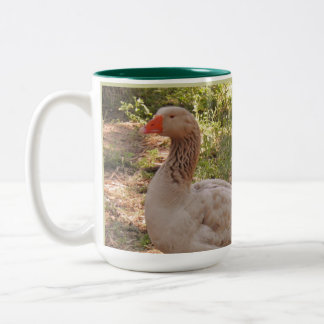 Silver- Springwasservogel-Kaffee-Tasse "Henry " Zweifarbige Tasse