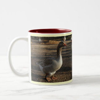 Silver- Springwasservogel-Tasse "Herbst " Zweifarbige Tasse
