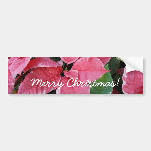 Silver Star Marble Poinsettias Pink Holiday Floral Autoaufkleber (Vorne)