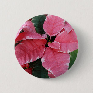 Silver Star Marble Poinsettias Pink Holiday Floral Button