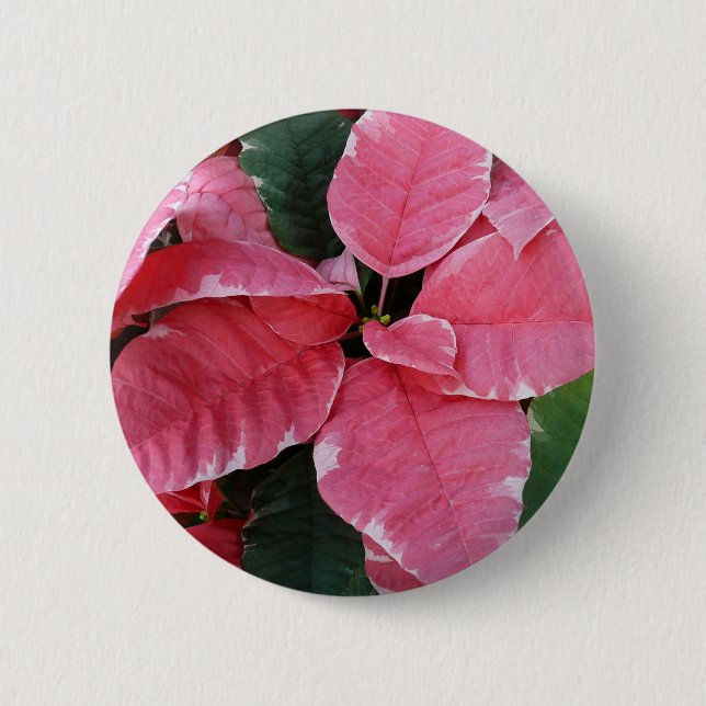 Silver Star Marble Poinsettias Pink Holiday Floral Button (Vorderseite)