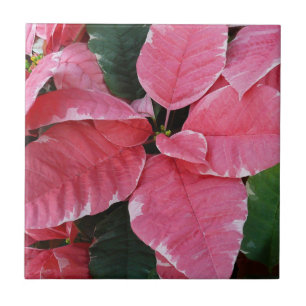 Silver Star Marble Poinsettias Pink Holiday Floral Fliese
