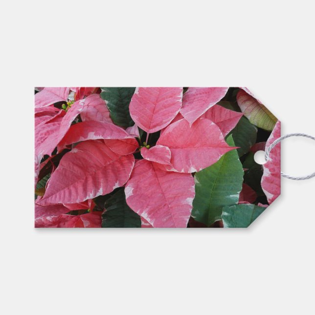 Silver Star Marble Poinsettias Pink Holiday Floral Geschenkanhänger (Vorderseite (Horizontal))