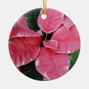 Silver Star Marble Poinsettias Pink Holiday Floral Keramik Ornament