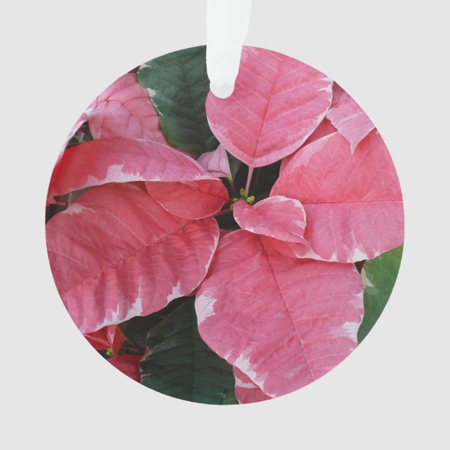 Silver Star Marble Poinsettias Pink Holiday Floral Ornament (Vorderseite)