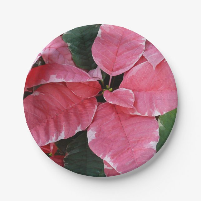 Silver Star Marble Poinsettias Pink Holiday Floral Pappteller (Vorderseite)