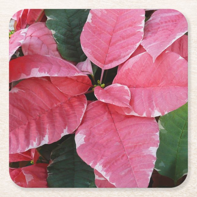 Silver Star Marble Poinsettias Pink Holiday Floral Rechteckiger Pappuntersetzer (Vorderseite)
