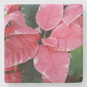 Silver Star Marble Poinsettias Pink Holiday Floral Steinuntersetzer