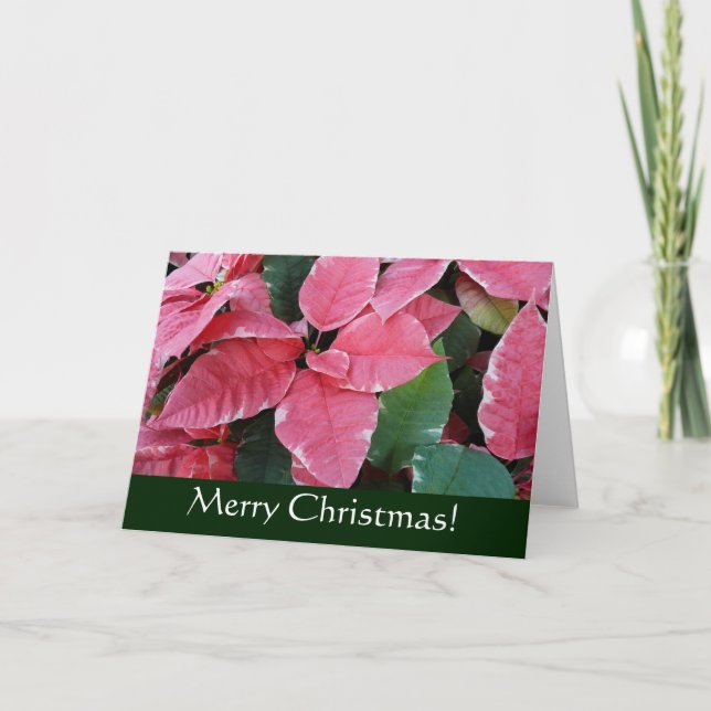Silver Star Marble Poinsettias Weihnachtskarte Feiertagskarte (Vorderseite)