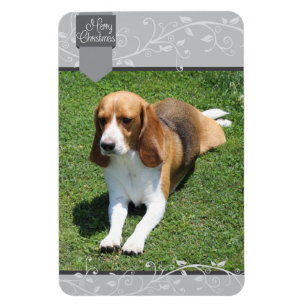 Silver Tab & Blüh Frohe Weihnachten Magnet