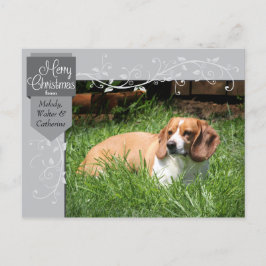 Silver Tab und Schnörkel Weihnachts-Foto Postkarte