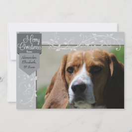 Silver Tab und Schnörkel Weihnachtsfotokarte Feiertagskarte