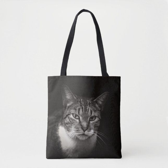 SILVER TABBY CAT (Vorderseite)