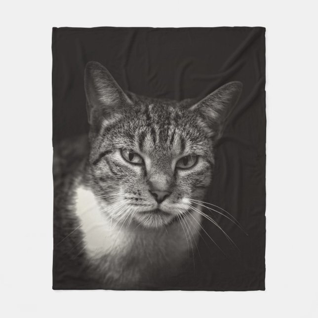 SILVER TABBY CAT FLEECEDECKE (Vorderseite)