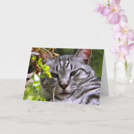 "Silver Tabby Cat Head" Grußkarte mit Umschlag Karte
