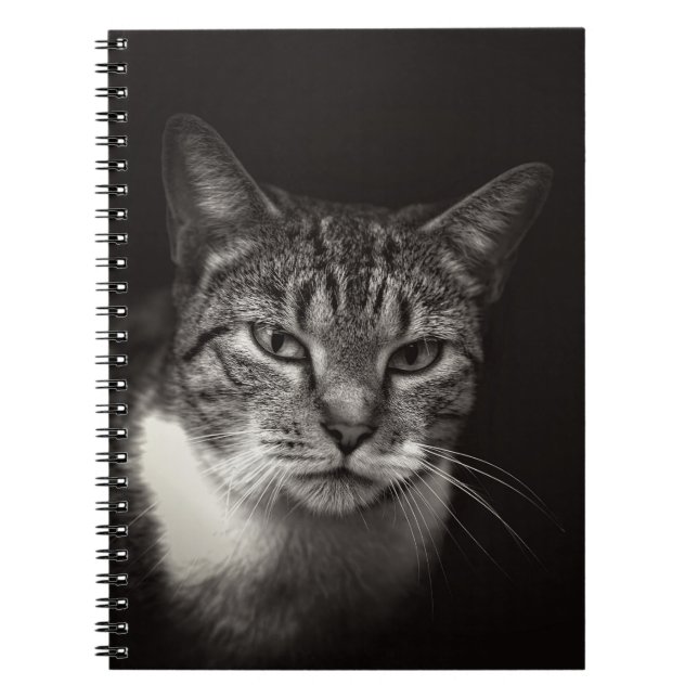 SILVER TABBY CAT NOTIZBLOCK (Vorderseite)