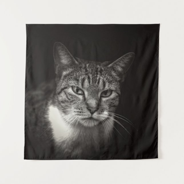 SILVER TABBY CAT WANDTEPPICH (Vorderseite)