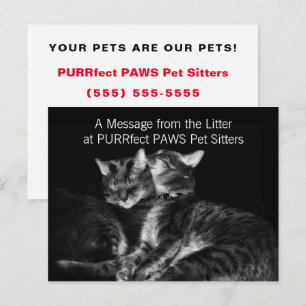 Silver Tabby Cats Pet Sitter Handout Postkarte