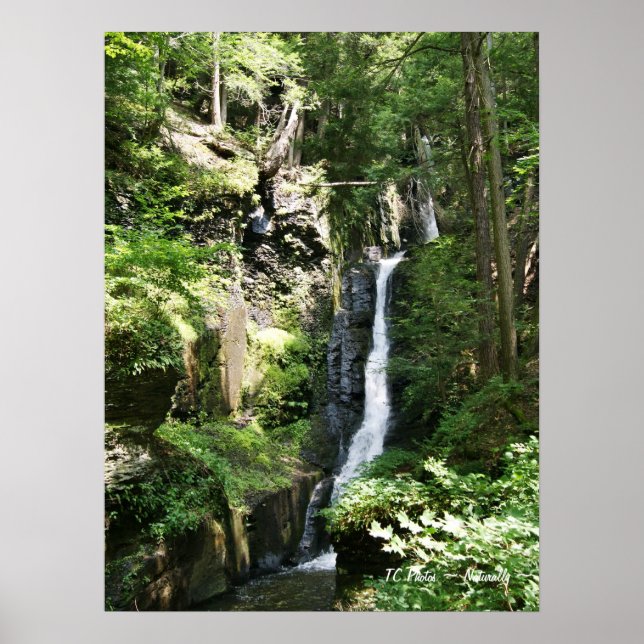 Silver Thread Falls Poster (Vorne)