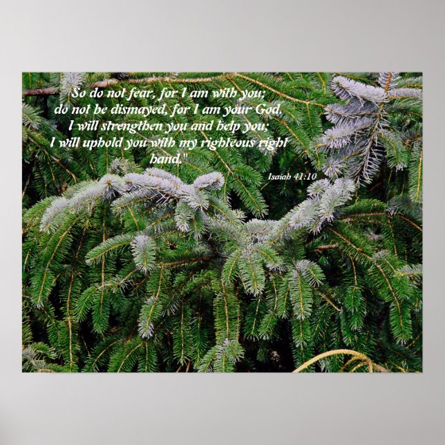 Silver Tip Fir Tree Isaiah 41:10 Print Poster (Vorne)