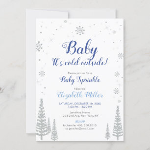 Silver Winter Wonderland - Boy Baby Sprinkle Card Einladung