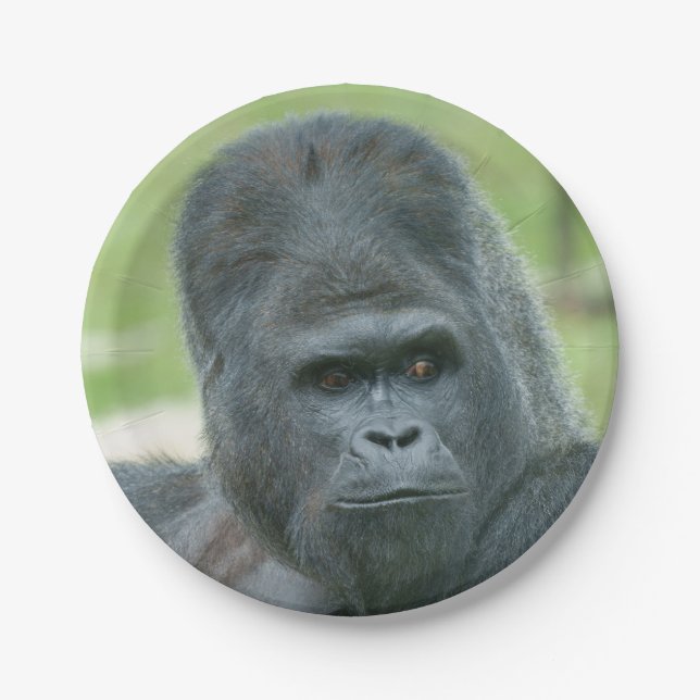 Silverback Dishi Pappteller (Vorderseite)